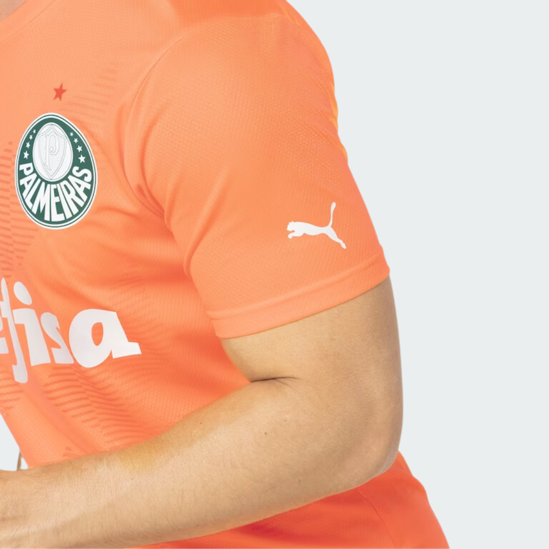 Camisa Palmeiras III 23/24